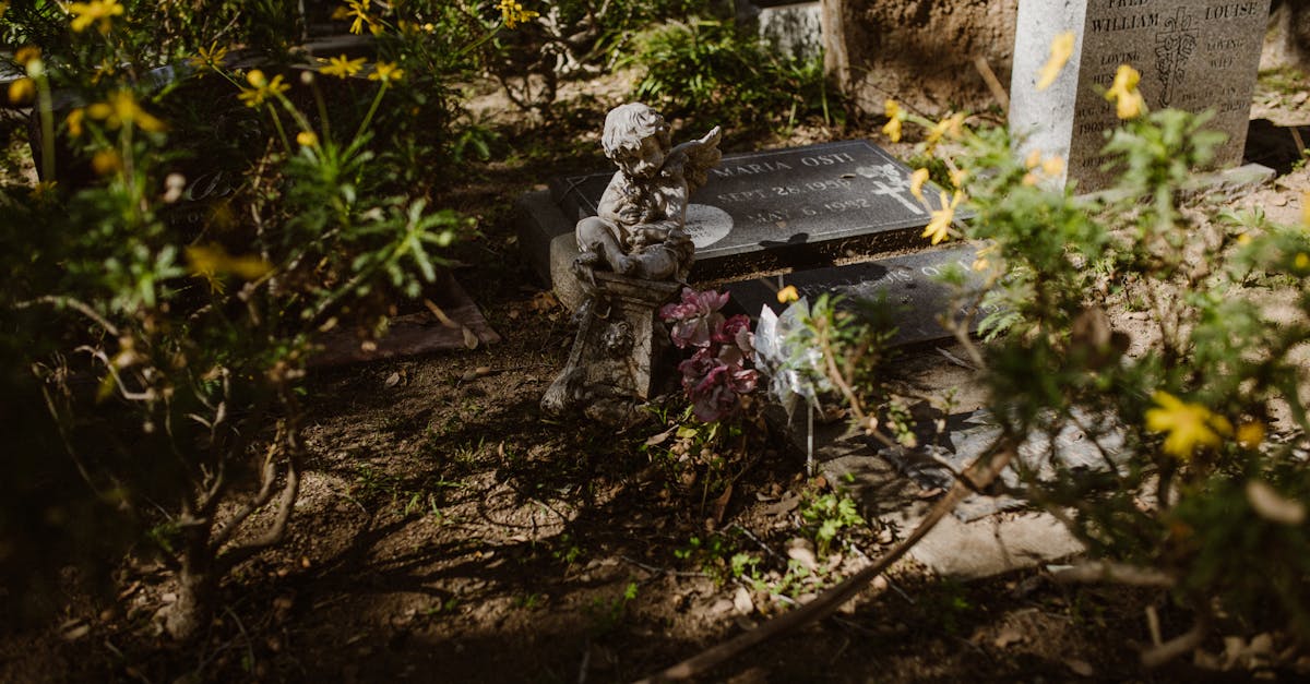découvrez l'art de la photographie de cimetière, une exploration visuelle des lieux de mémoire et de recueillement. capturant la beauté paisible des pierres tombales, des sculptures et des paysages, cette spécialité photographique invite à la réflexion et à l'émotion. parfait pour les passionnés d'histoire et de nature.