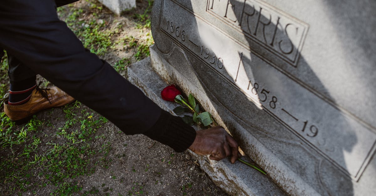découvrez l'art de la photographie de cimetière, un voyage visuel à travers des lieux chargés d'histoire et d'émotion. explorez des compositions uniques, des jeux d'ombre et de lumière, et laissez-vous inspirer par la beauté silencieuse des tombes et des monuments. idéal pour les passionnés de photographie et ceux recherchant une connexion profonde avec le passé.