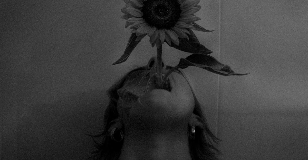 explorez l'univers captivant de la photographie de portrait sombre, où les ombres et la lumière se rencontrent pour créer des images saisissantes et émotionnelles. découvrez des techniques pour capturer l'essence des sujets dans des atmosphères mystérieuses et envoûtantes.
