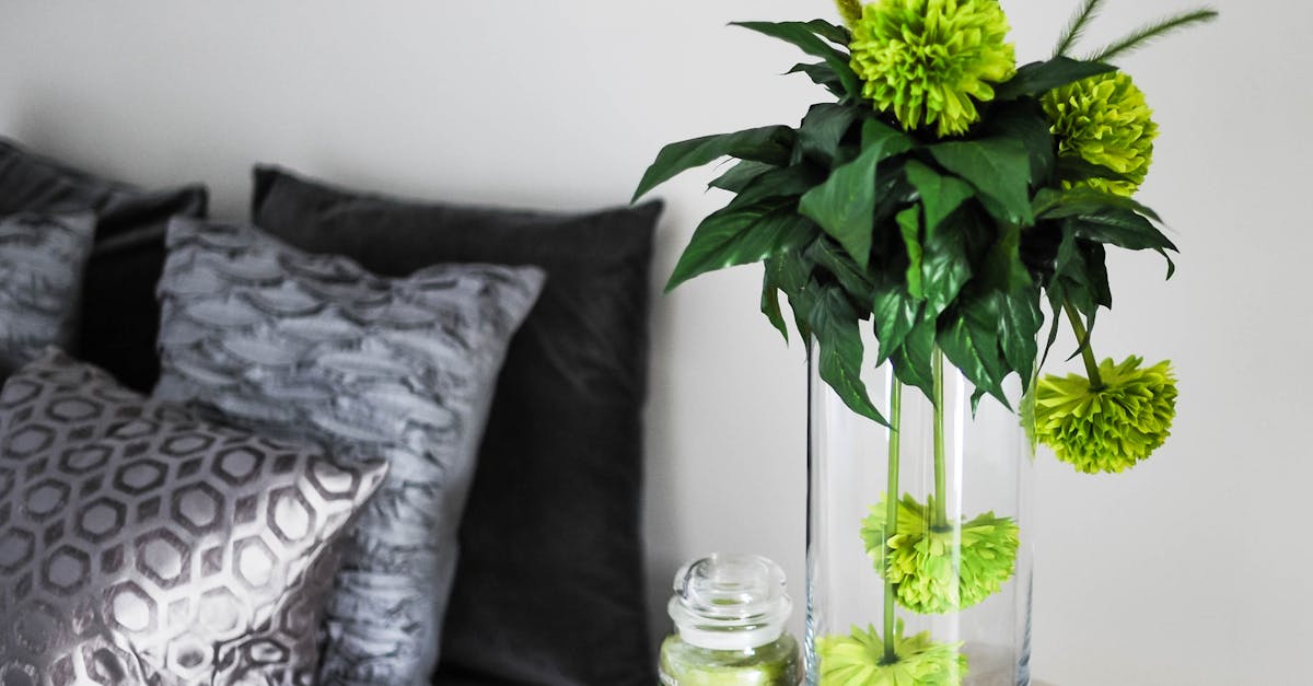 découvrez des idées inspirantes et des conseils pratiques pour embellir votre intérieur avec des décorations tendance. transformez chaque espace en un lieu qui reflète votre style et votre personnalité.