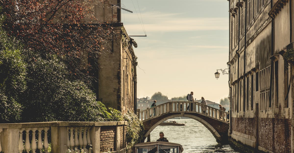 découvrez l'univers fascinant du gothique, un style artistique et architectural riche en histoire, mêlant mystère et romantisme. explorez ses caractéristiques emblématiques, son influence sur la culture moderne et les différentes expressions du mouvement gothique à travers le temps.