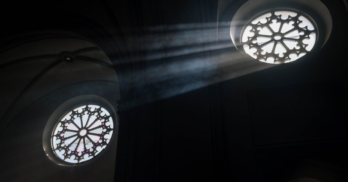 découvrez l'esthétique gothique, un style captivant mêlant art, mode et ambiance mystérieuse. plongez dans des inspirations sombres, des motifs médiévaux et une palette de couleurs riches qui célèbrent l'individualité et la créativité. explorez des looks uniques et des éléments décoratifs qui font du gothique un mouvement intemporel.
