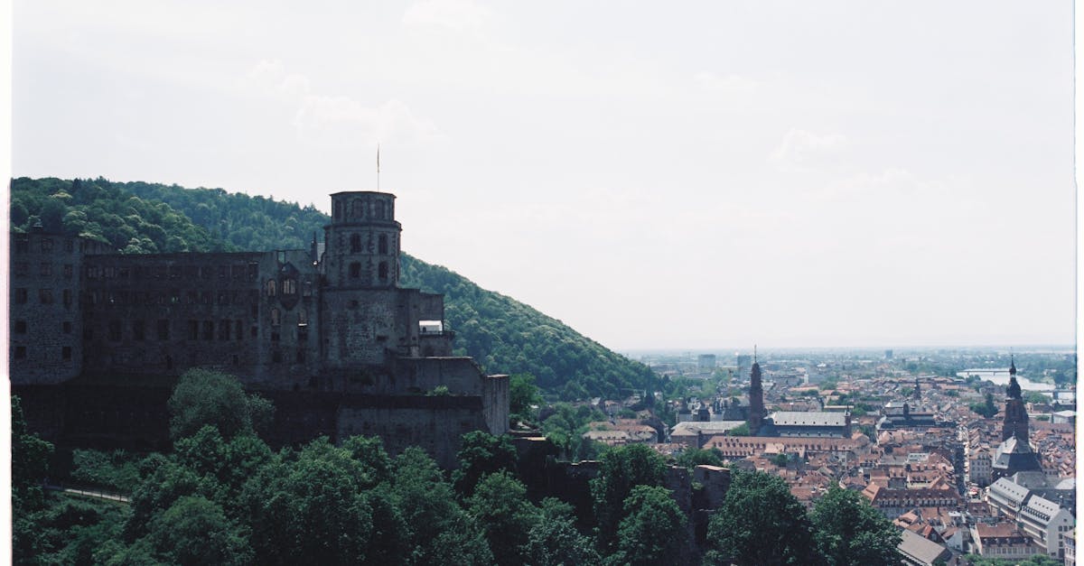découvrez l'architecture gothique, un style monumental et fascinant qui a marqué le moyen âge. explorez ses caractéristiques emblématiques telles que les voûtes en ogive, les arcs-boutants et les vitraux colorés qui élèvent l'âme des églises et des cathédrales à travers l'europe.