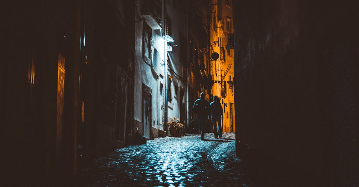 découvrez une atmosphère gothique envoûtante, où l'ombre et la beauté se rencontrent dans une danse mystérieuse. plongez dans un univers où l'architecture sinistre, les couleurs sombres et l'art macabre créent une expérience inoubliable, parfaite pour les amateurs de culture gothique et d'esthétique mystérieuse.