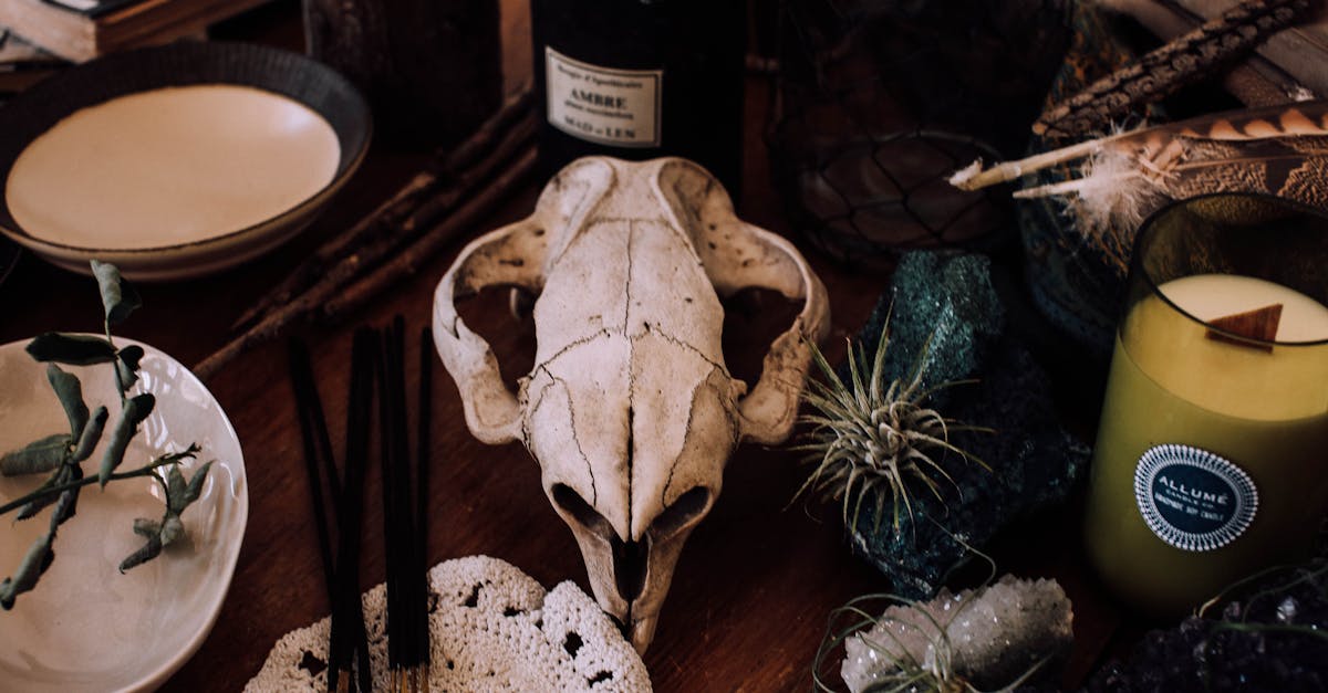 découvrez l'univers mystérieux et envoûtant de la décoration gothique. transformez votre intérieur avec des éléments sombres et élégants, mêlant vintage et modernité, pour créer une atmosphère unique et captivante.