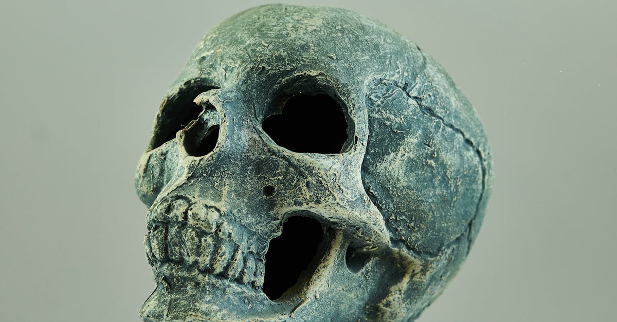 découvrez l'univers fascinant de la photographie gothique, où l'ombre et la lumière se rencontrent pour créer des images mystérieuses et évocatrices. explorez les thèmes sombres, les décors médiévaux, et les émotions intenses à travers des clichés captivants qui célèbrent l'esthétique gothique.