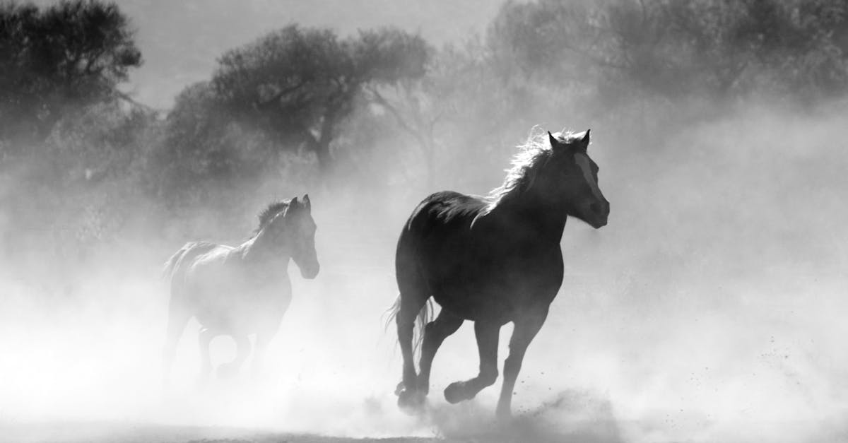 découvrez le pouvoir narratif à travers des récits captivants qui transforment les idées et engagent profondément les lecteurs. explorez comment la narration façonne notre perception et influence notre compréhension du monde.