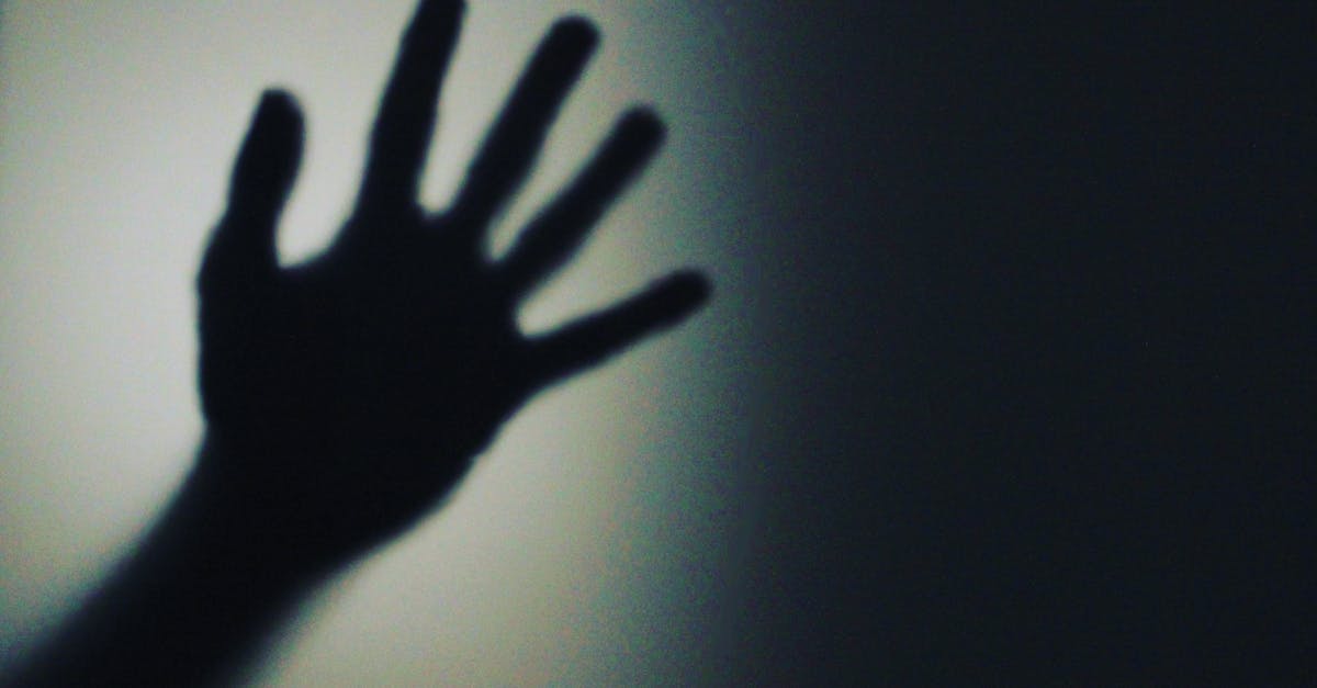 découvrez l'univers mystérieux de l'ombre avec notre exploration approfondie de son impact dans l'art, la psychologie et la nature. plongez dans les nuances de la lumière et apprenez comment les ombres façonnent notre perception du monde.
