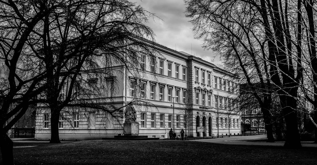 découvrez l'univers fascinant de la photographie urban gothic, où l'ombre rencontre la lumière au cœur des villes. explorez des compositions saisissantes et des atmosphères mystérieuses qui capturent l'essence du gothique moderne mêlant architecture urbaine et éléments sombres.