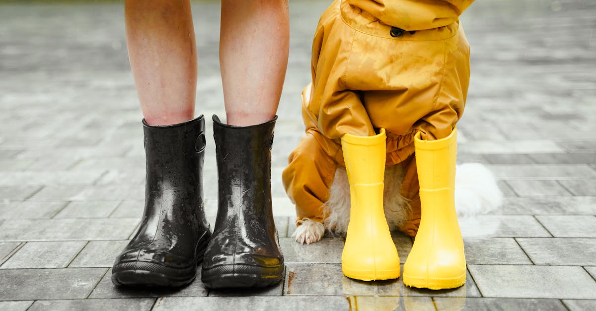 découvrez notre sélection de bottes noires élégantes et tendance, parfaites pour compléter toutes vos tenues. confort, style et qualité au rendez-vous. trouvez votre paire idéale dès maintenant !