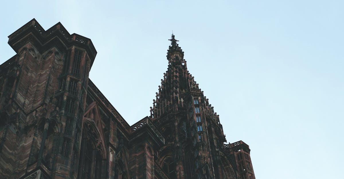 découvrez l'univers fascinant du 'french gothic', un mouvement artistique et architectural emblématique du moyen âge. plongez dans ses caractéristiques distinctives, ses chefs-d'œuvre majestueux et son influence durable sur l'art et l'architecture modernes.