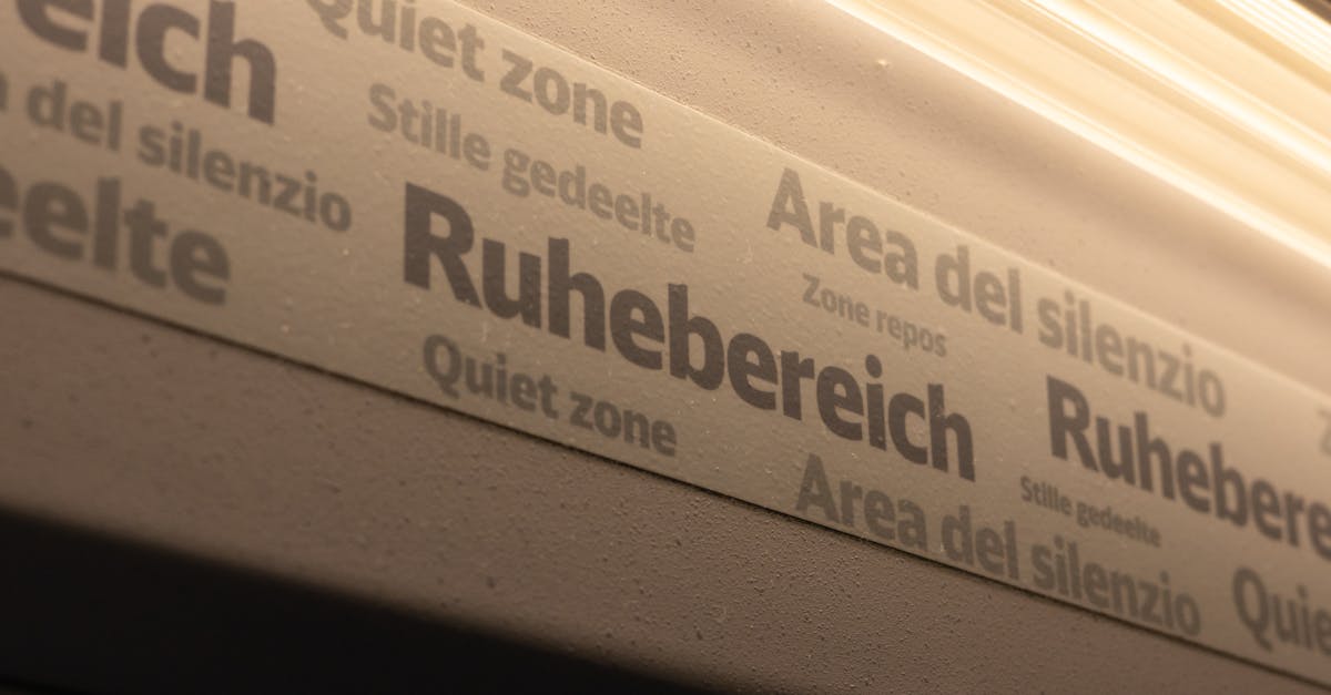 découvrez l'univers fascinant des films muets allemands, une époque cinématographique riche en émotions et en créativité. plongez dans des œuvres emblématiques qui ont marqué l'histoire du cinéma avec leur esthétique visuelle unique et leurs narrations captivantes.