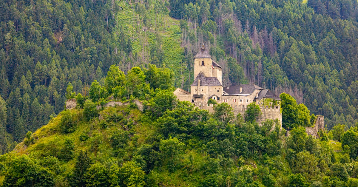 découvrez l’architecture gothique : ses caractéristiques majeures, son histoire fascinante et les éléments emblématiques qui ont marqué les églises et cathédrales du moyen âge en europe.