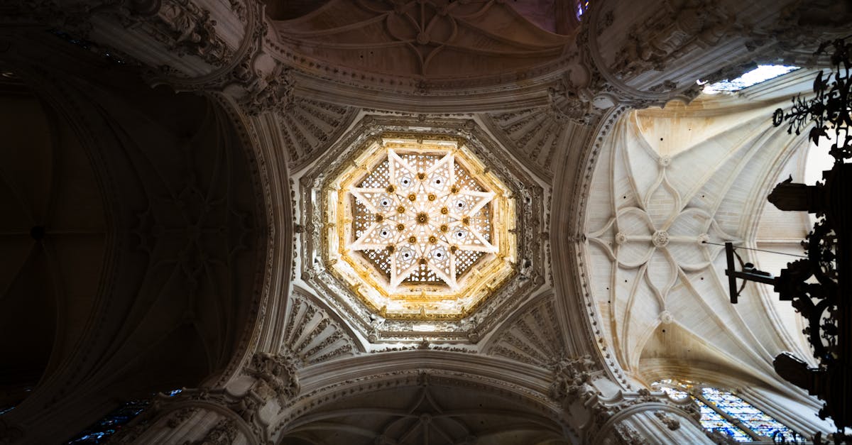 découvrez la culture gothique : son histoire, ses codes, sa musique et son esthétique unique. explorez l’univers fascinant du mouvement gothique, de ses origines à son influence moderne.