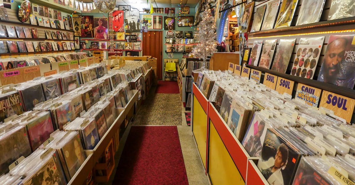 explorez l'univers fascinant des collectionneurs de vinyles gothiques. découvrez des trésors musicaux, des éditions limitées et des anecdotes captivantes sur l'esthétique sombre du genre. plongez dans la communauté gothique et partagez votre passion pour les vinyles vintage.