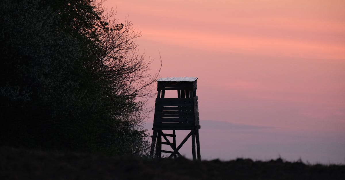 découvrez les bienfaits et la puissance du silence : comment l'apprécier, l'utiliser pour améliorer votre bien-être et cultiver la sérénité au quotidien.