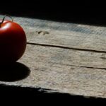 découvrez la signification du terme 'contrast', son utilisation en français, et des exemples pour mieux comprendre comment il permet de mettre en valeur les différences entre objets, couleurs ou idées.