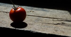 découvrez la signification du terme 'contrast', son utilisation en français, et des exemples pour mieux comprendre comment il permet de mettre en valeur les différences entre objets, couleurs ou idées.
