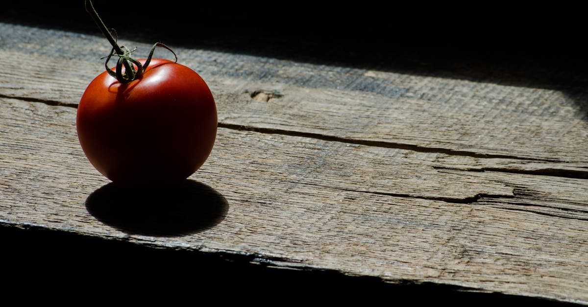 découvrez la signification du terme 'contrast', son utilisation en français, et des exemples pour mieux comprendre comment il permet de mettre en valeur les différences entre objets, couleurs ou idées.