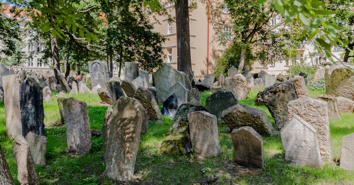 découvrez l'architecture gothique, un style emblématique du moyen âge caractérisé par ses voûtes élancées, ses arcs en ogive et ses vitraux colorés. apprenez-en plus sur son histoire et ses monuments célèbres.