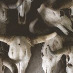 découvrez comment intégrer le style gothic decor dans votre intérieur : idées d’aménagement, conseils déco et inspirations pour une ambiance mystérieuse et élégante chez vous.