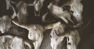 découvrez comment intégrer le style gothic decor dans votre intérieur : idées d’aménagement, conseils déco et inspirations pour une ambiance mystérieuse et élégante chez vous.