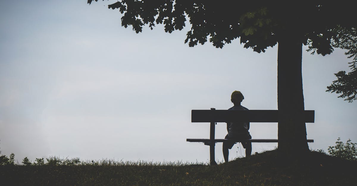 découvrez la puissance et les bienfaits du silence : ses vertus apaisantes, ses effets sur le bien-être mental et la manière dont il favorise la concentration et la créativité au quotidien.