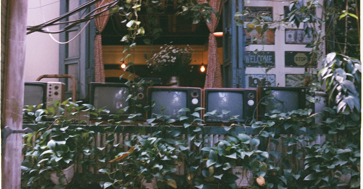 plongez dans l'univers de la visual nostalgia : souvenirs visuels, esthétiques rétro et émotions d'antan réunis pour raviver votre mémoire et inspirer votre créativité.